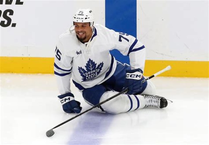 Ryan Reaves - Bio, Age, height, Wiki, Facts and Family
